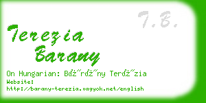 terezia barany business card